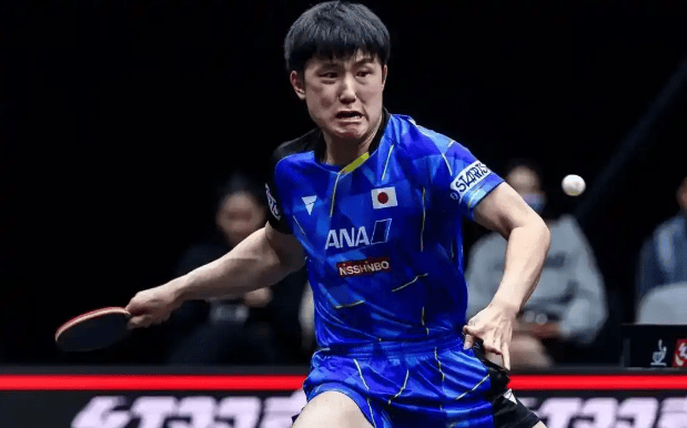 波兰队碾压奥地利队,张本智和高光表现 波兰队碾压奥地利队,张本智和高光表现