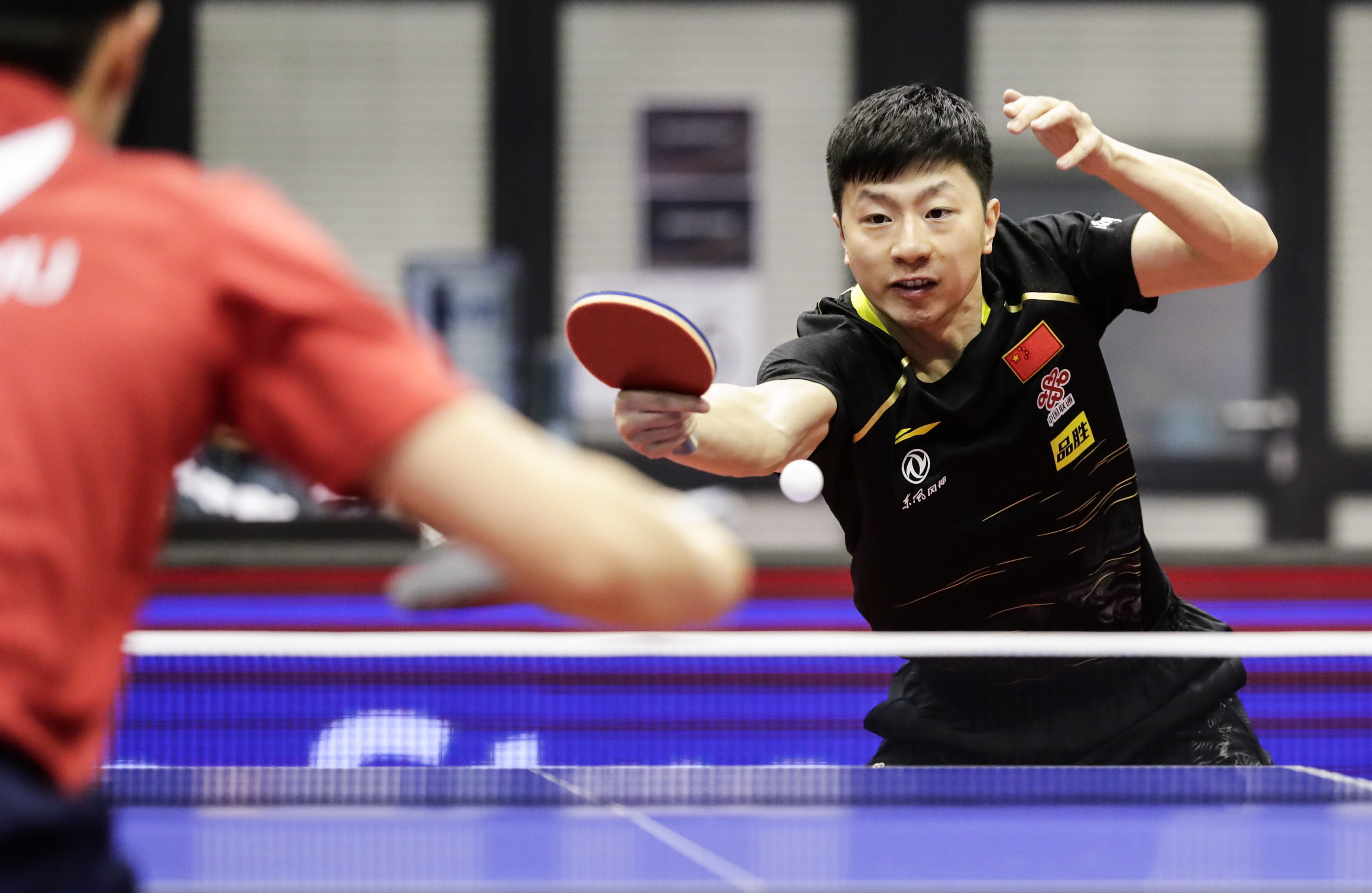 德国乒乓球队实现完美破冰,赢得掌声 德国乒乓球队实现完美破冰,赢得掌声