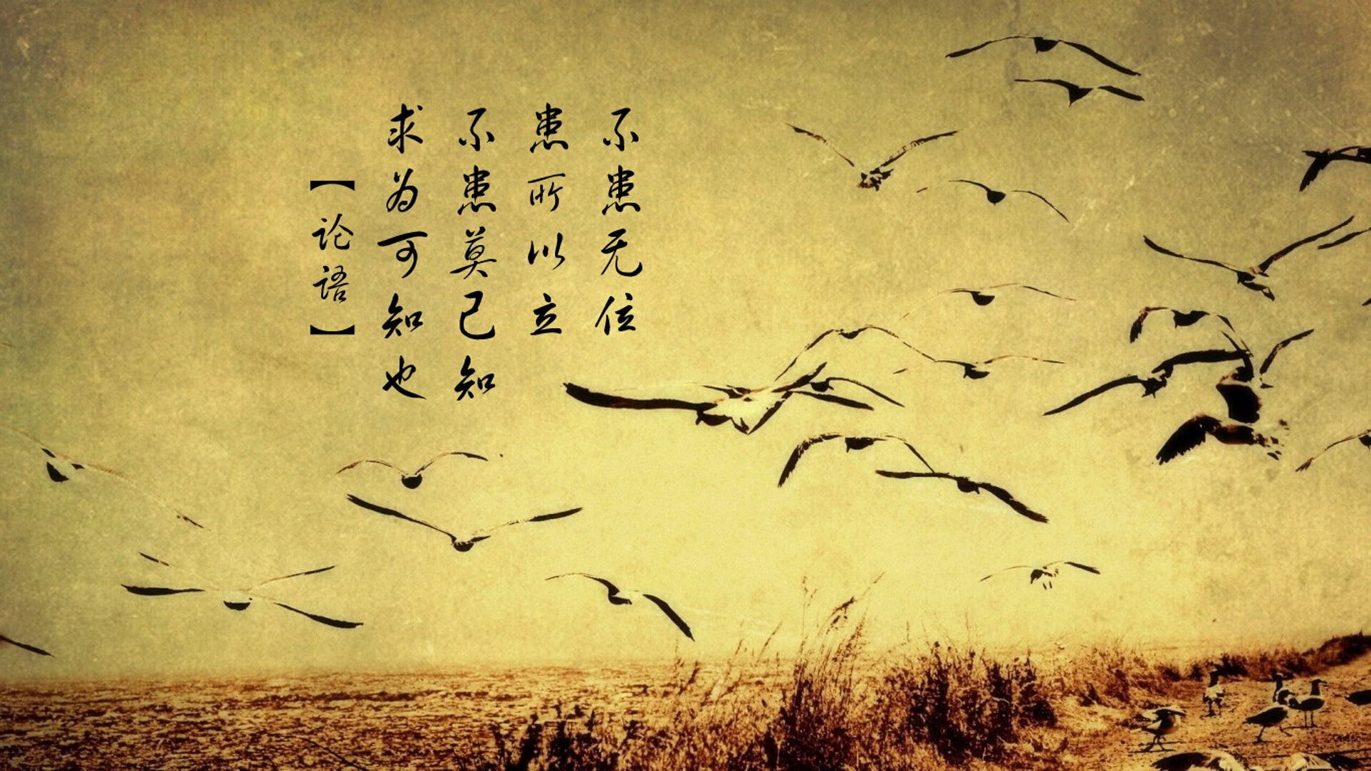 奥运周期关键战之夜，欧文压制级发挥改写历史